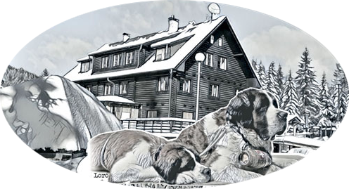 Villa Schwarz - Dobšinská ľadová jaskyňa, Stratená