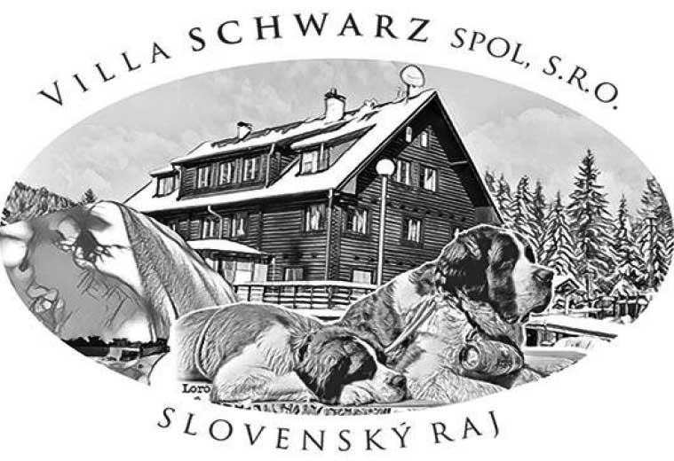 Villa Schwarz - Dobšinská ľadová jaskyňa, Stratená